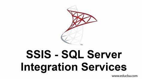 SQL SSIS placeholder